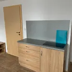 Πανσιόν Bartlova Bouda 3*